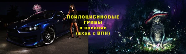 бутират Белокуриха