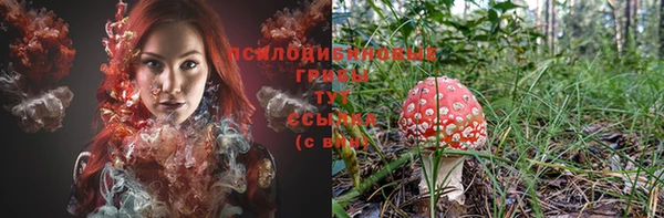 бутират Белокуриха