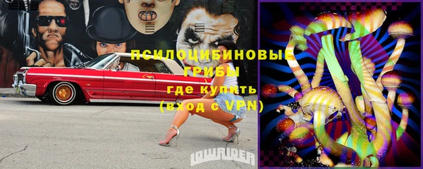 бутират Белокуриха